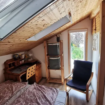 Kaméleon Ev Töltéssel * Balatonszemes