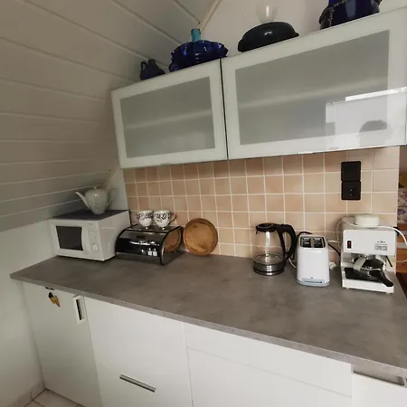 Kaméleon Ev Töltéssel Apartman